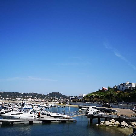 B&B La Salamandra Kitchengarden Forio di Ischia Dış mekan fotoğraf