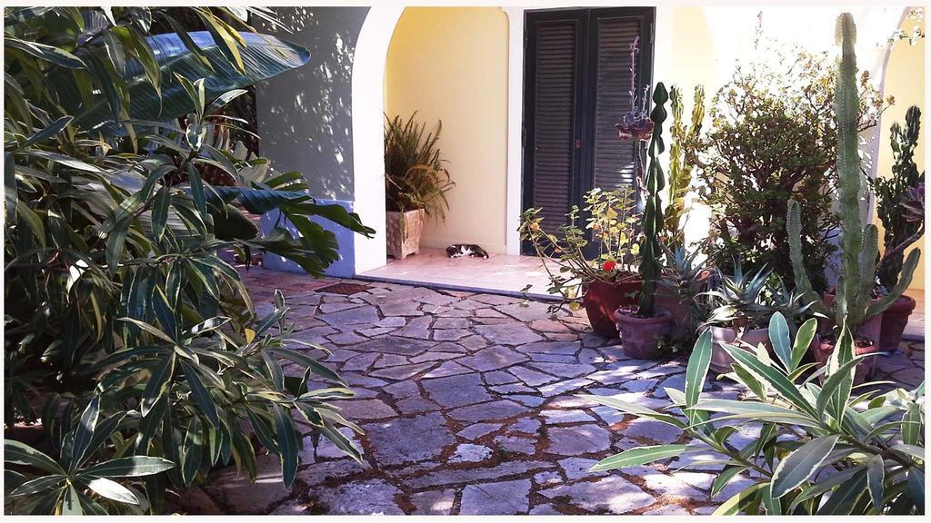 B&B La Salamandra Kitchengarden Forio di Ischia Dış mekan fotoğraf