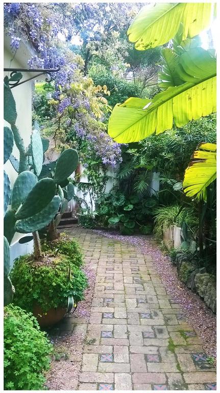 B&B La Salamandra Kitchengarden Forio di Ischia Dış mekan fotoğraf