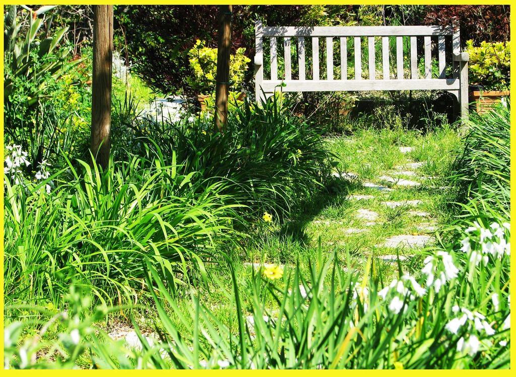 B&B La Salamandra Kitchengarden Forio di Ischia Dış mekan fotoğraf