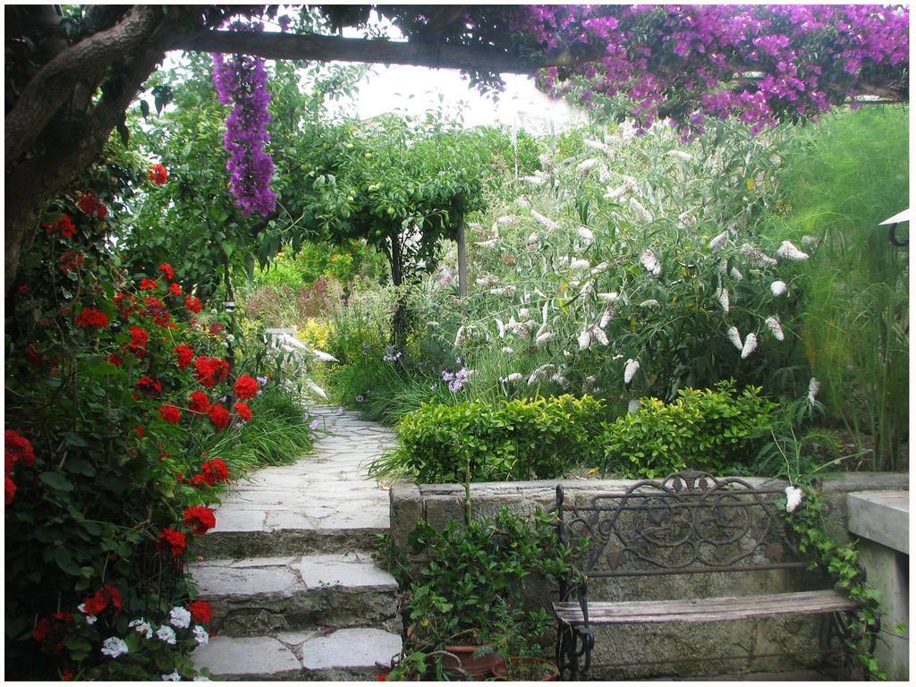 B&B La Salamandra Kitchengarden Forio di Ischia Dış mekan fotoğraf