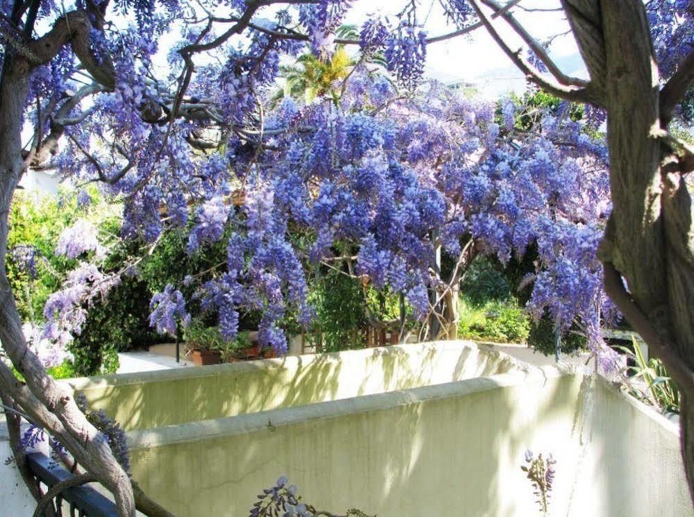 B&B La Salamandra Kitchengarden Forio di Ischia Dış mekan fotoğraf