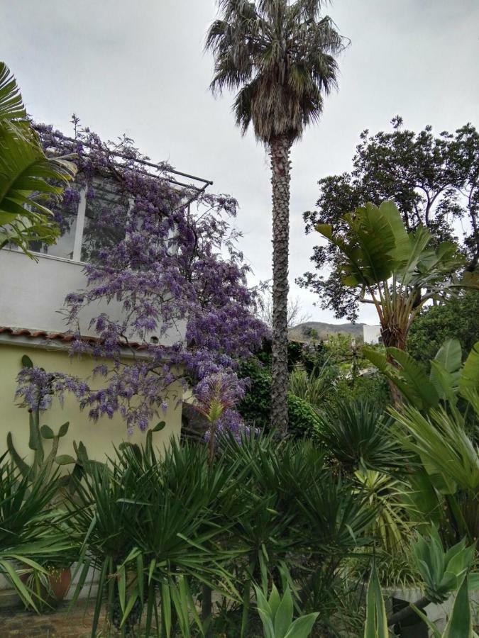 B&B La Salamandra Kitchengarden Forio di Ischia Dış mekan fotoğraf