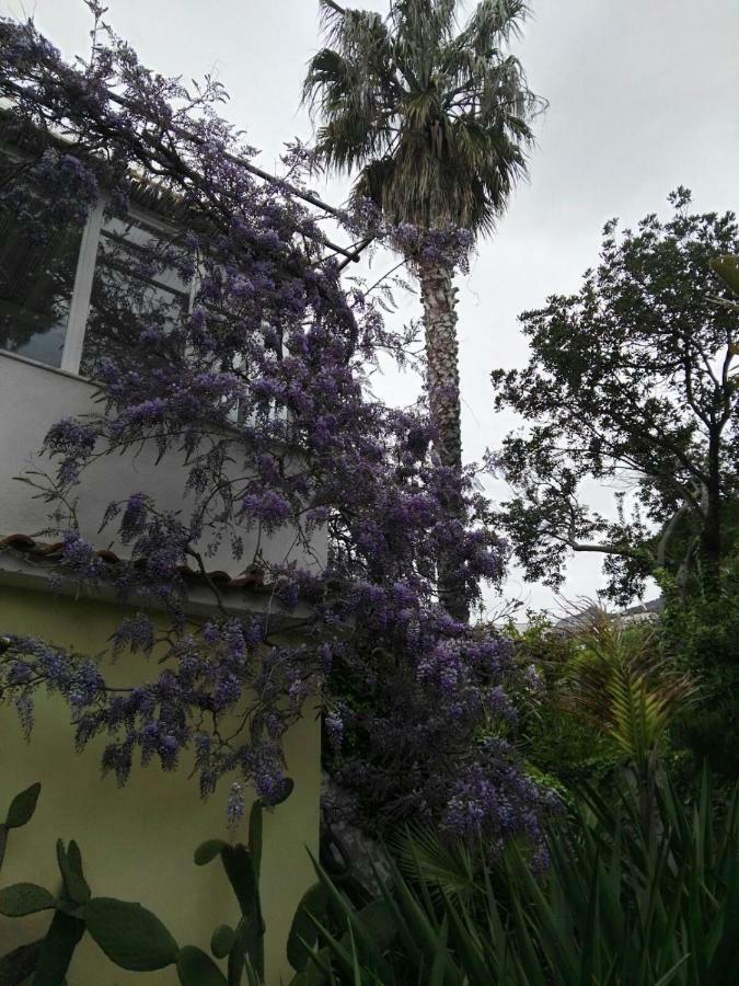 B&B La Salamandra Kitchengarden Forio di Ischia Dış mekan fotoğraf