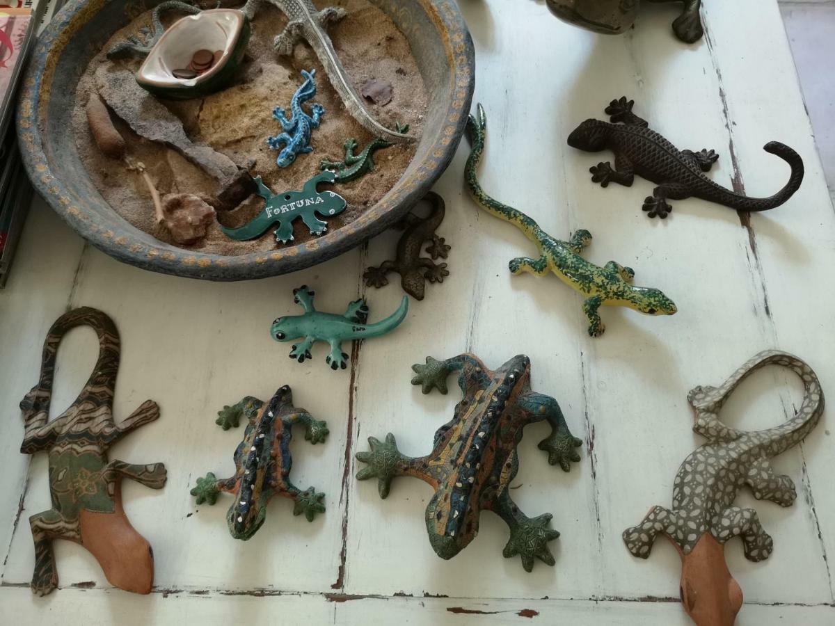 B&B La Salamandra Kitchengarden Forio di Ischia Dış mekan fotoğraf