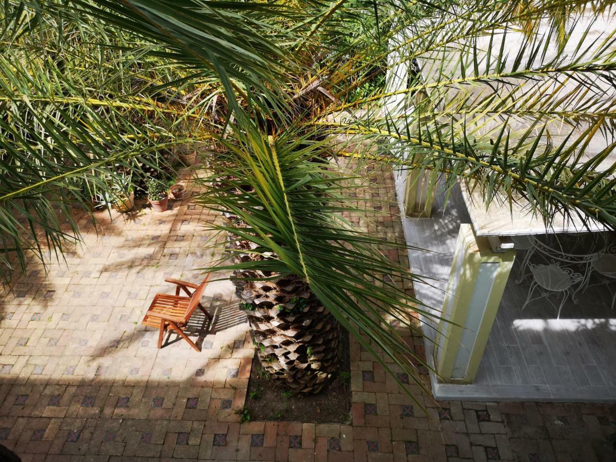 B&B La Salamandra Kitchengarden Forio di Ischia Dış mekan fotoğraf