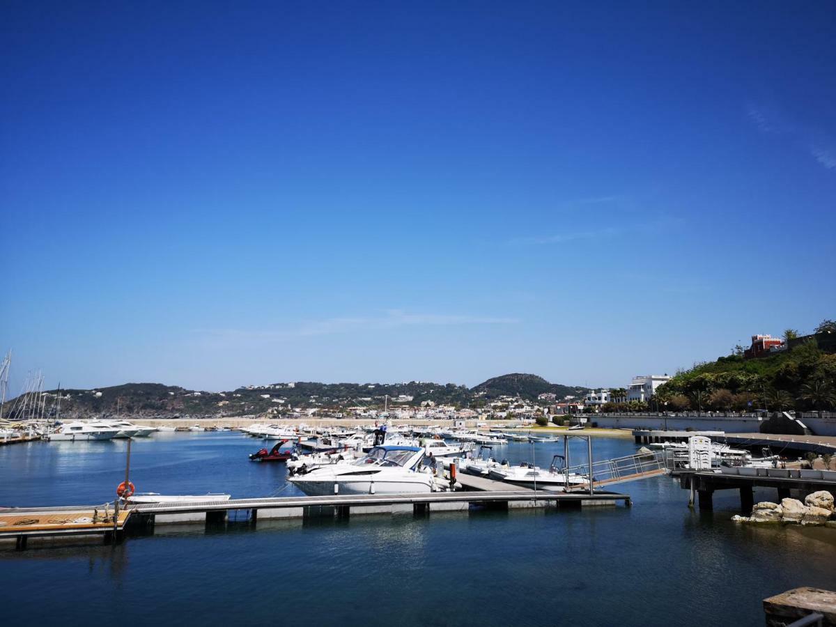 B&B La Salamandra Kitchengarden Forio di Ischia Dış mekan fotoğraf